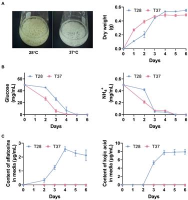 Integrated metabolomics and lipidomics analyses suggest the temperature-dependent lipid desaturation promotes aflatoxin biosynthesis in Aspergillus flavus